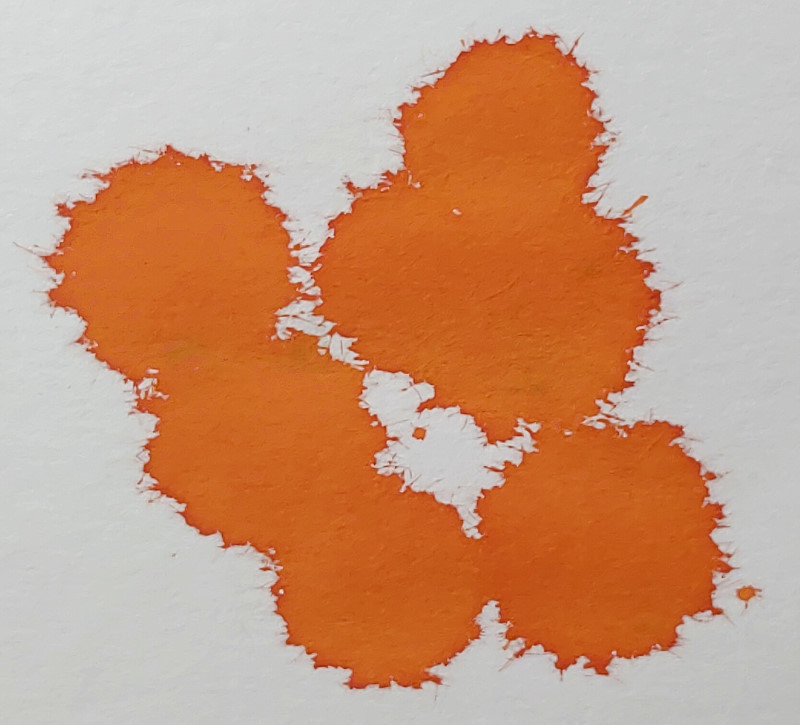 JHerbin_Orange_Indien_04.jpg